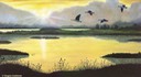 Sunset-with-ducks
